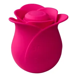 Satisfyer Pro 2 Modern Blossom Rose